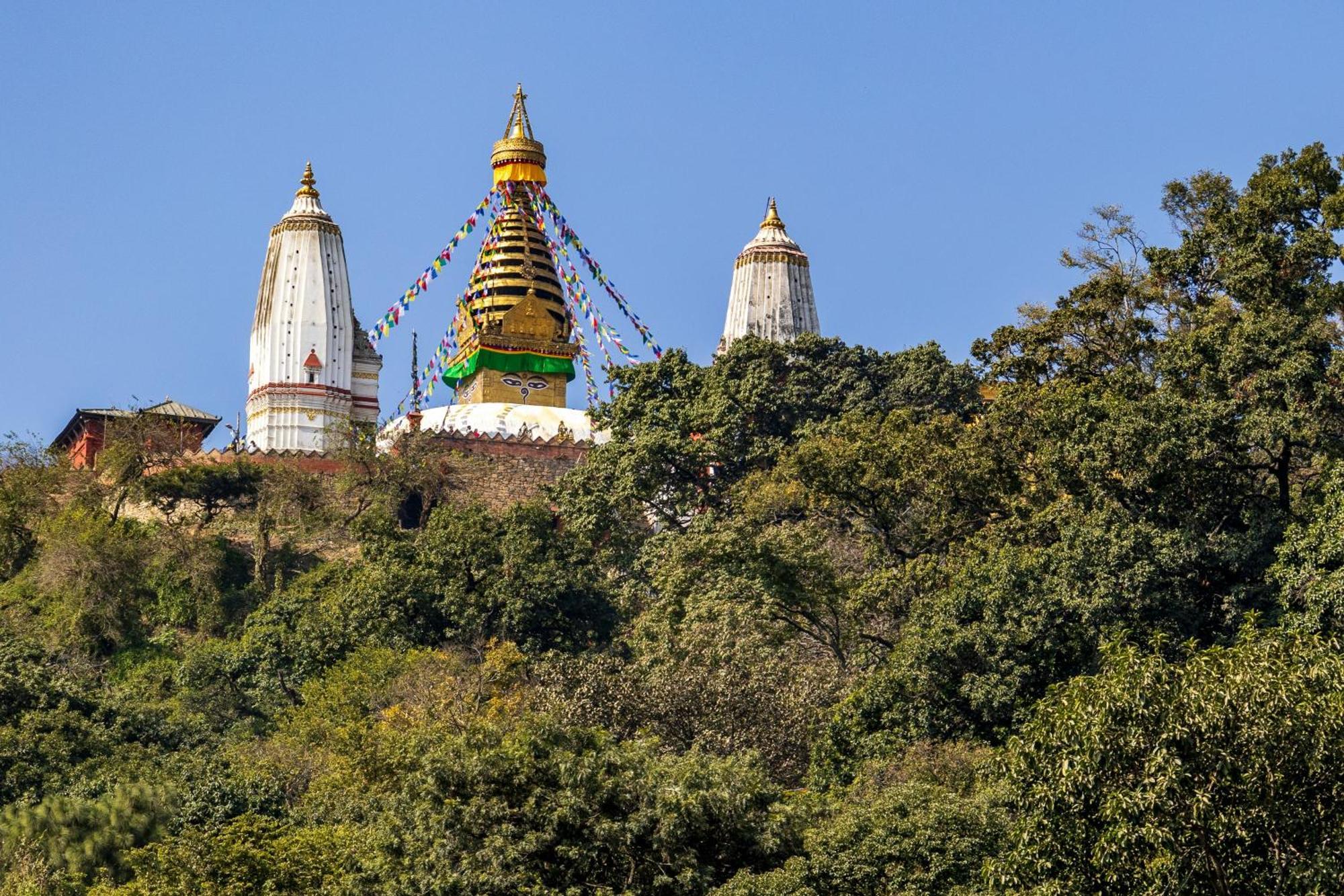 House Of Forrest, Service Apartments Kathmandu Buitenkant foto